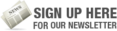 web design newsletter